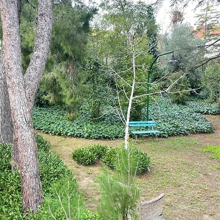 Adele * 치타 산트  안젤로