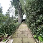 Adele Citta Sant'Angelo