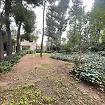 Adele Willa Citta Sant'Angelo