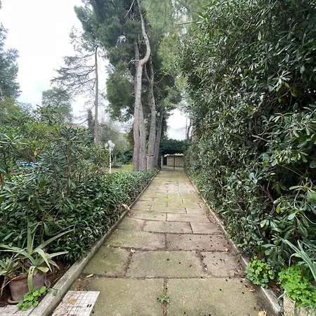 Adele Sant'angelo Citta Sant'Angelo