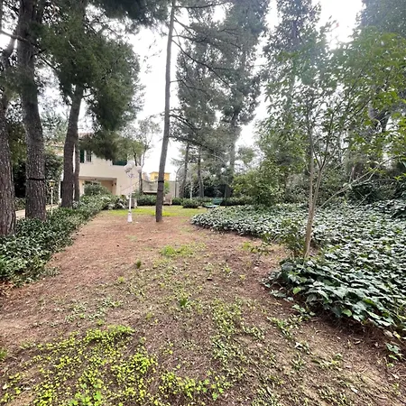 Adele Villa Città Sant'Angelo