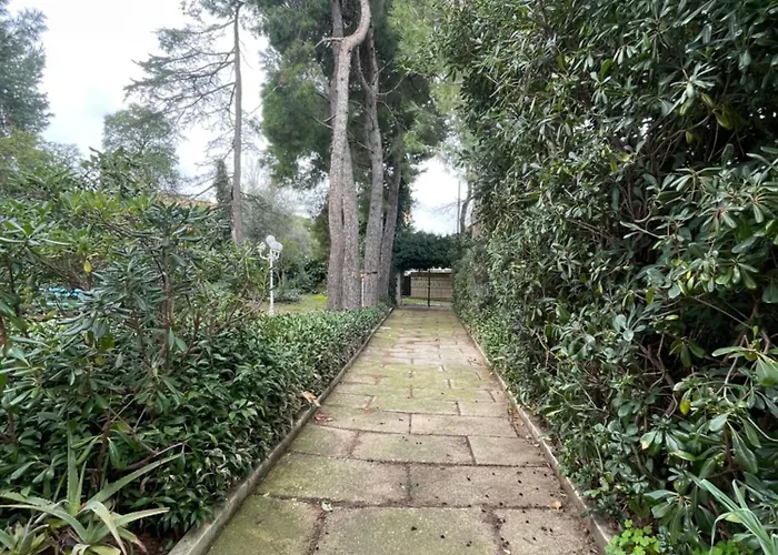 Adele Sant'angelo Città Sant'Angelo