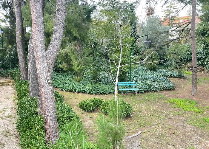 Adele Sant'angelo * Città Sant'Angelo